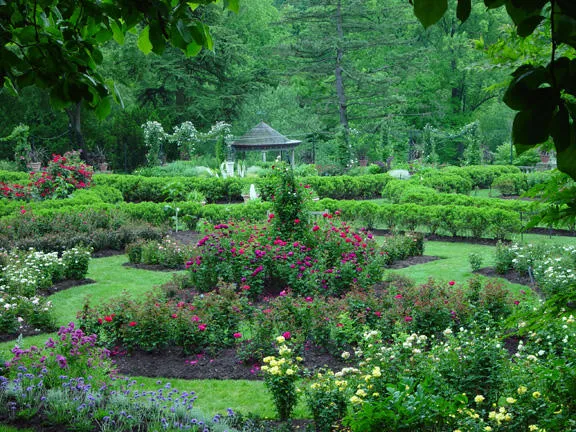 Morris Arboretum Garden