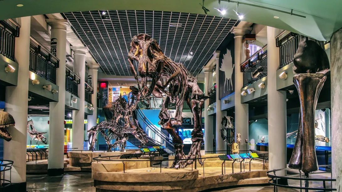 Inside the Academy of Natural Sciences in Philadelphia showing dinosaur fossils in a grand exhibit hall